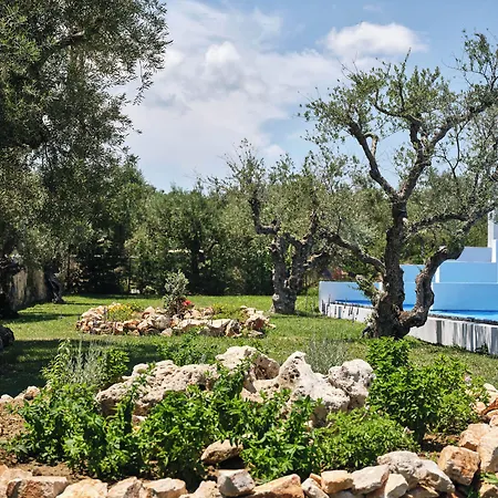 Hotel Cavo Orient & 4*