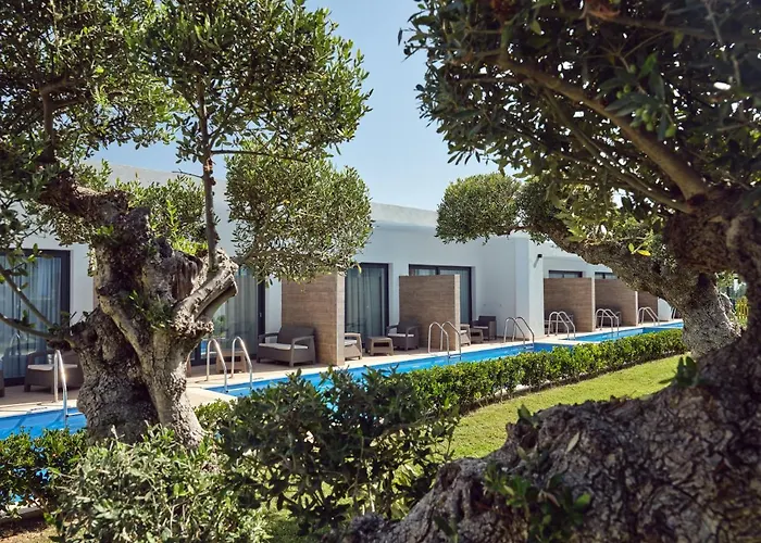 호텔 Cavo Orient &